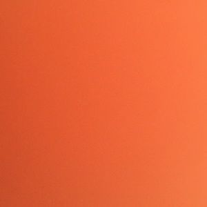 Meet your Posher, Rose